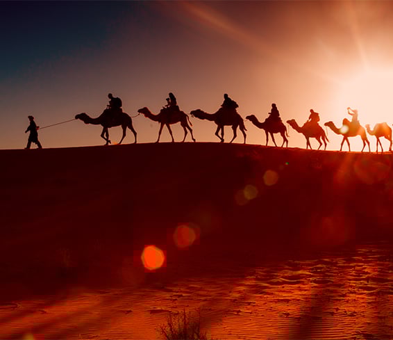 Dubai-Experiences_566x489.jpg